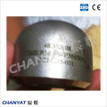 Stainless Steel Welded End Cap A403 (304H, 316H, 304L)